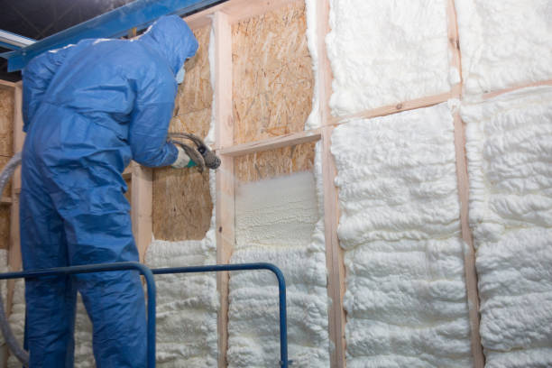 Trusted River Ridge, FL Insulation Removal & Installation Experts